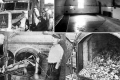 Shoah-2