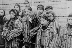 bimbi_auschitwz.j_interno