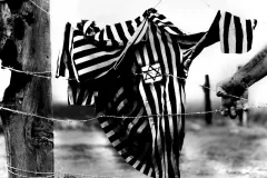 giornata-della-memoria-gli-eventi-principali-L-3u4xV3