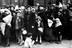 shoah-441x336