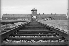 site_640_480_limit_auschwitz_foto